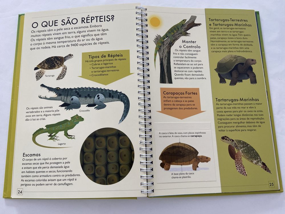 Livro Novo Reino Animal