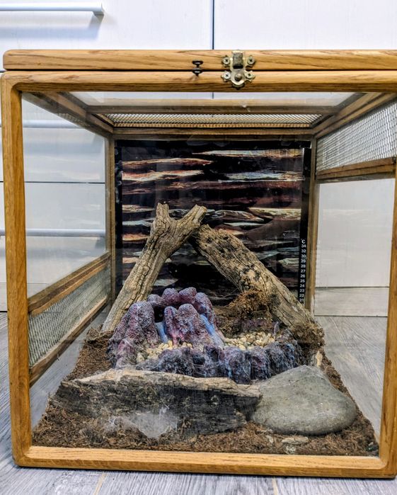 Терраріум (37 на 39 см)