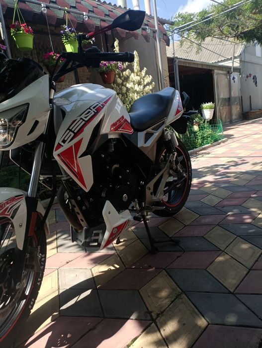 Geon pantera 250 (2024 року)