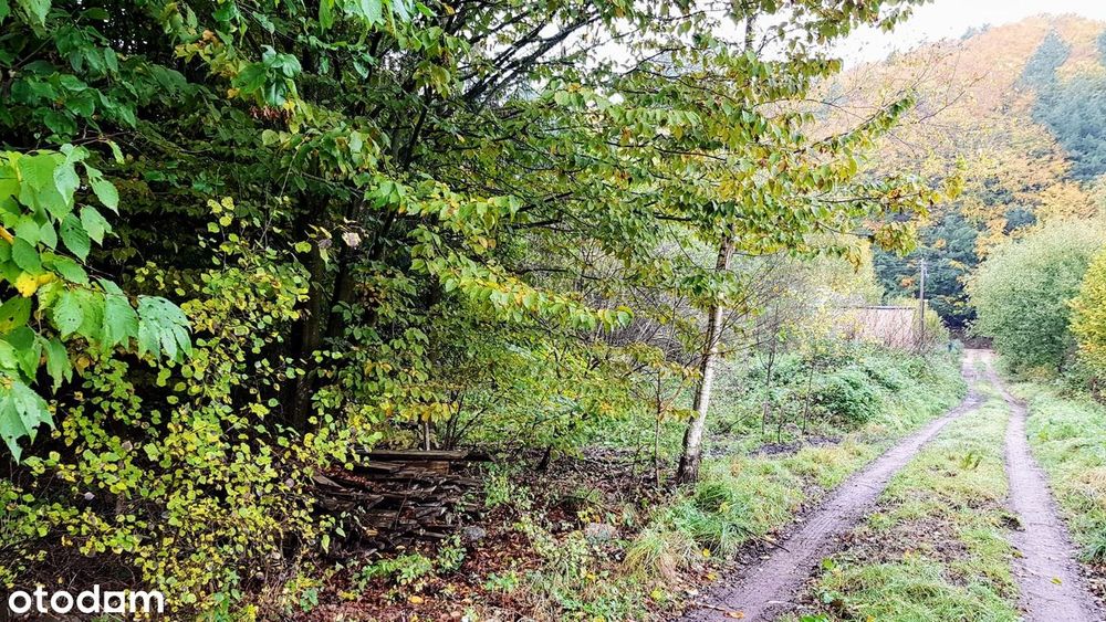 Działka 2232 m² w pobliżu lasu i morza