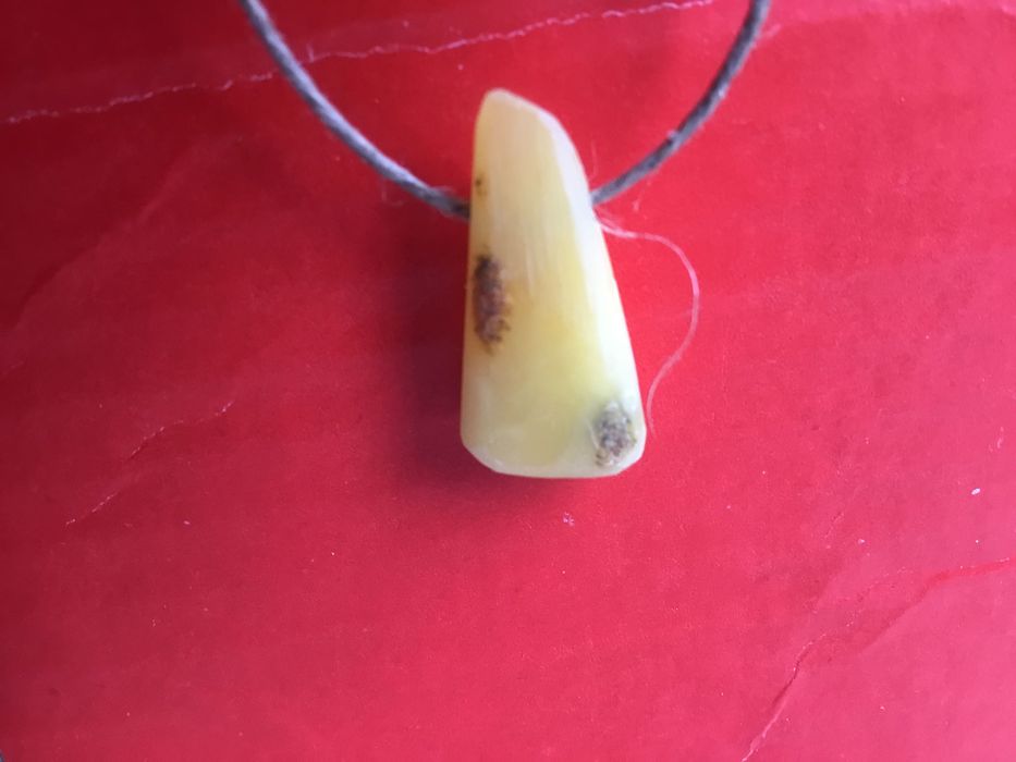 wisiorek, bursztyn królewski