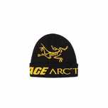 Шапка Arc’teryx x Palace Beanie Black