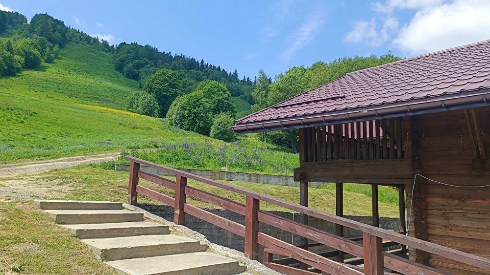 Котедж на 14 осіб