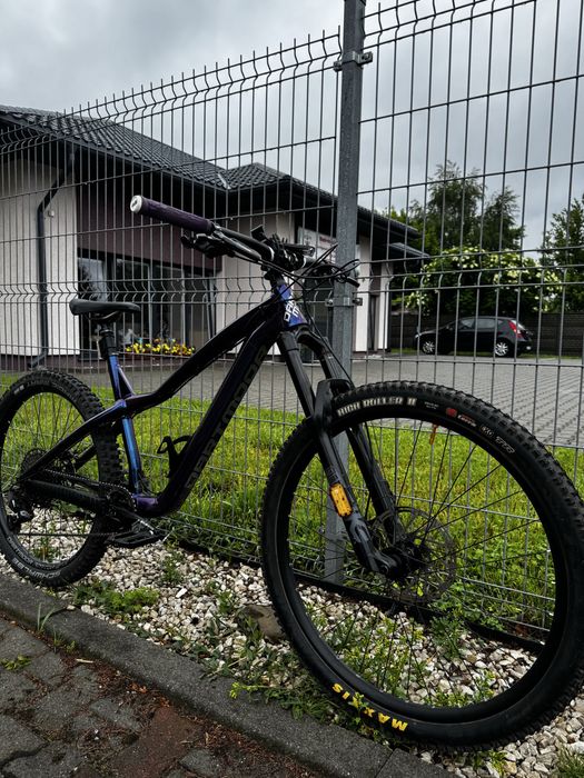 Dartmoor hornet Pro 2025 Mullet!