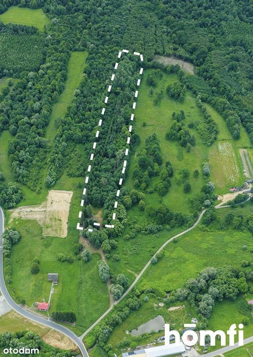 Zalesiona działka z domem – wróć do natury!