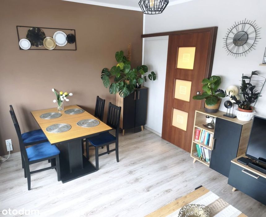 Wyjątkowa oferta – słoneczne, rozkładowe 2-pokojowe mieszkanie