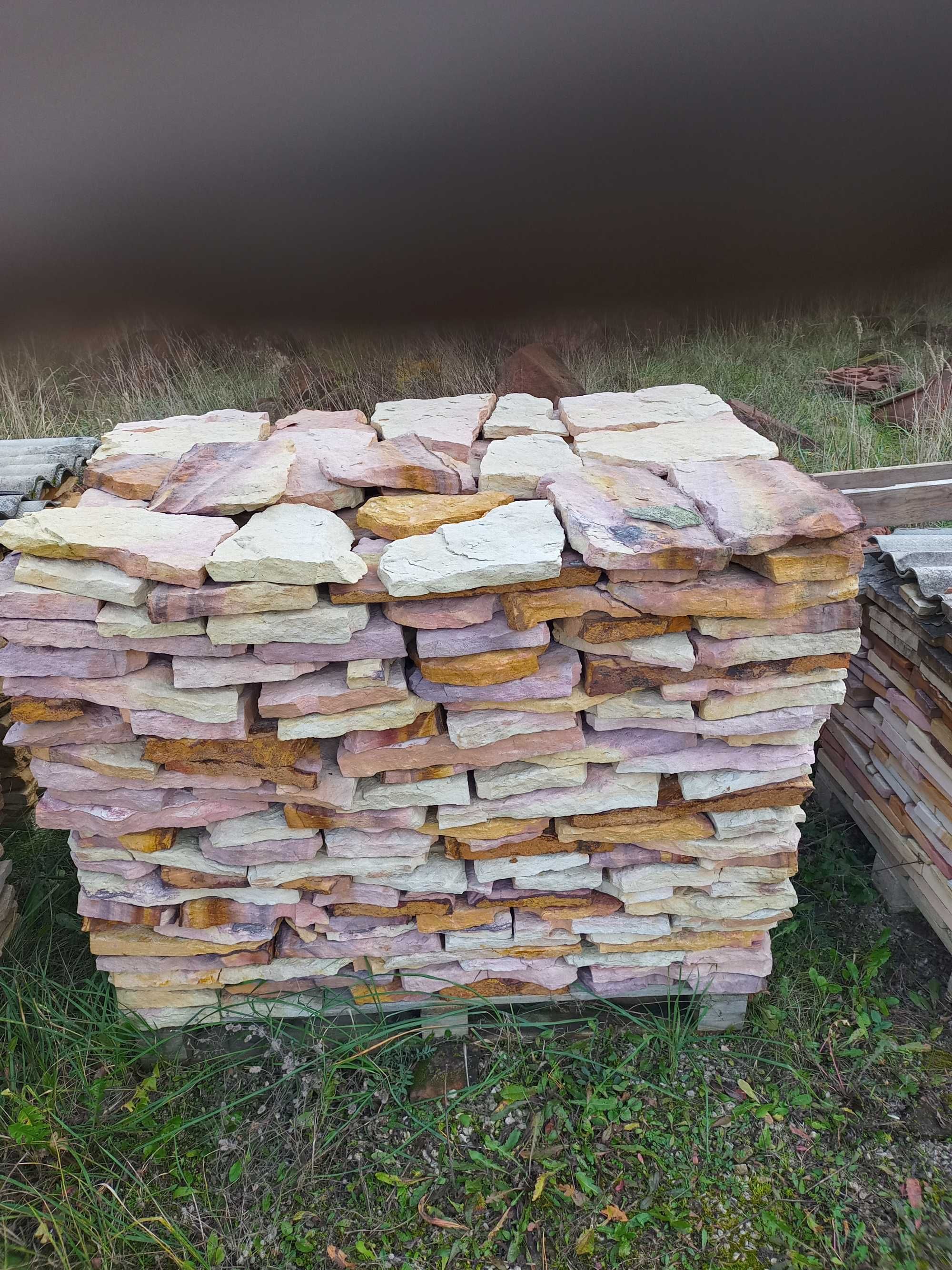 Piaskowiec dzikówka