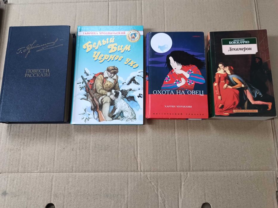 Художні    книги