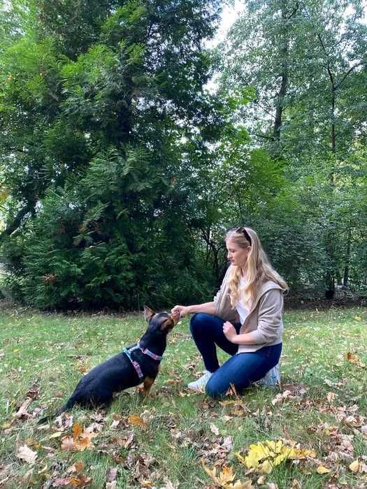 Szkolenie psów / behawiorysta / petsitter / Trener psów / Śląsk