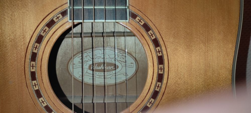 Гітара  Washburn. Model Wd10s