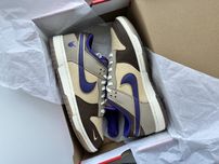 Кросівки кеди Nike Dunk Low Setsubun DQ5009-268
