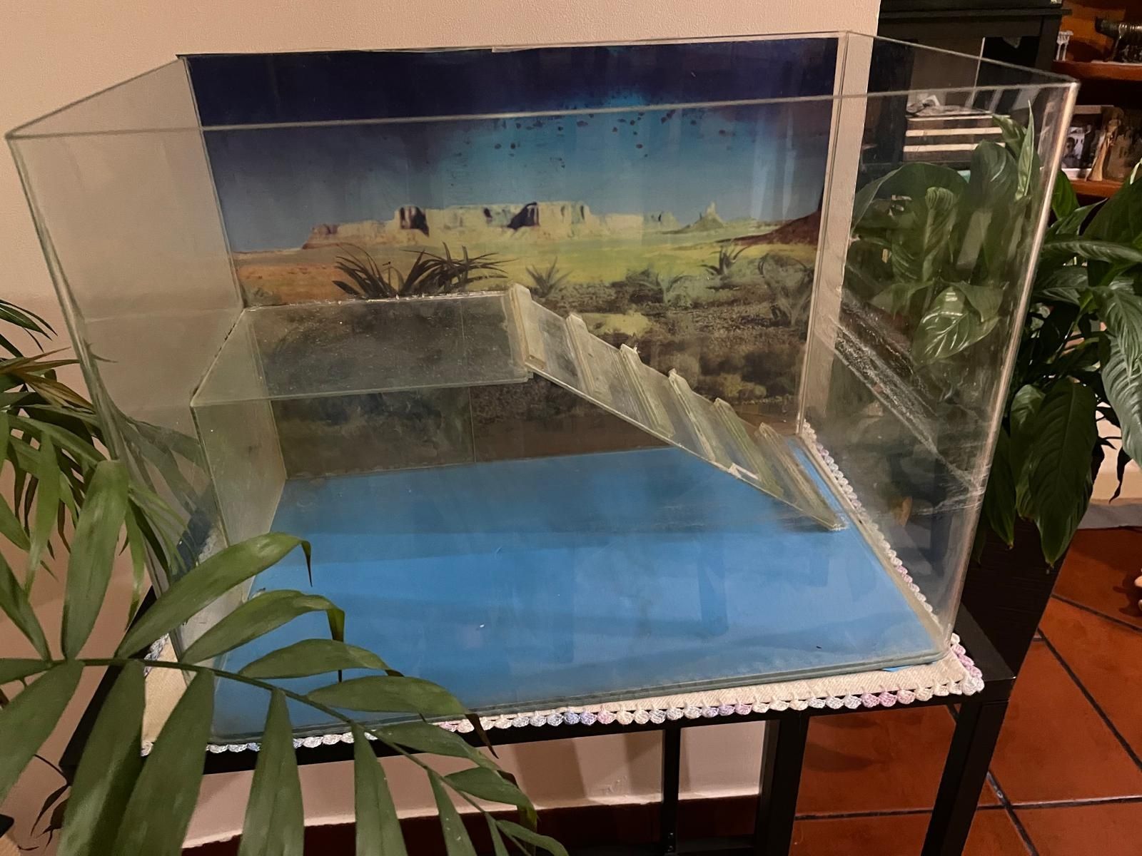Aquário de tartarugas
