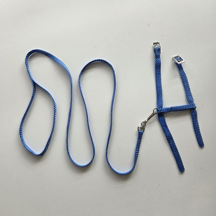 Szelki smycz dla małego szczeniaka, kota, królika szczura niebieski