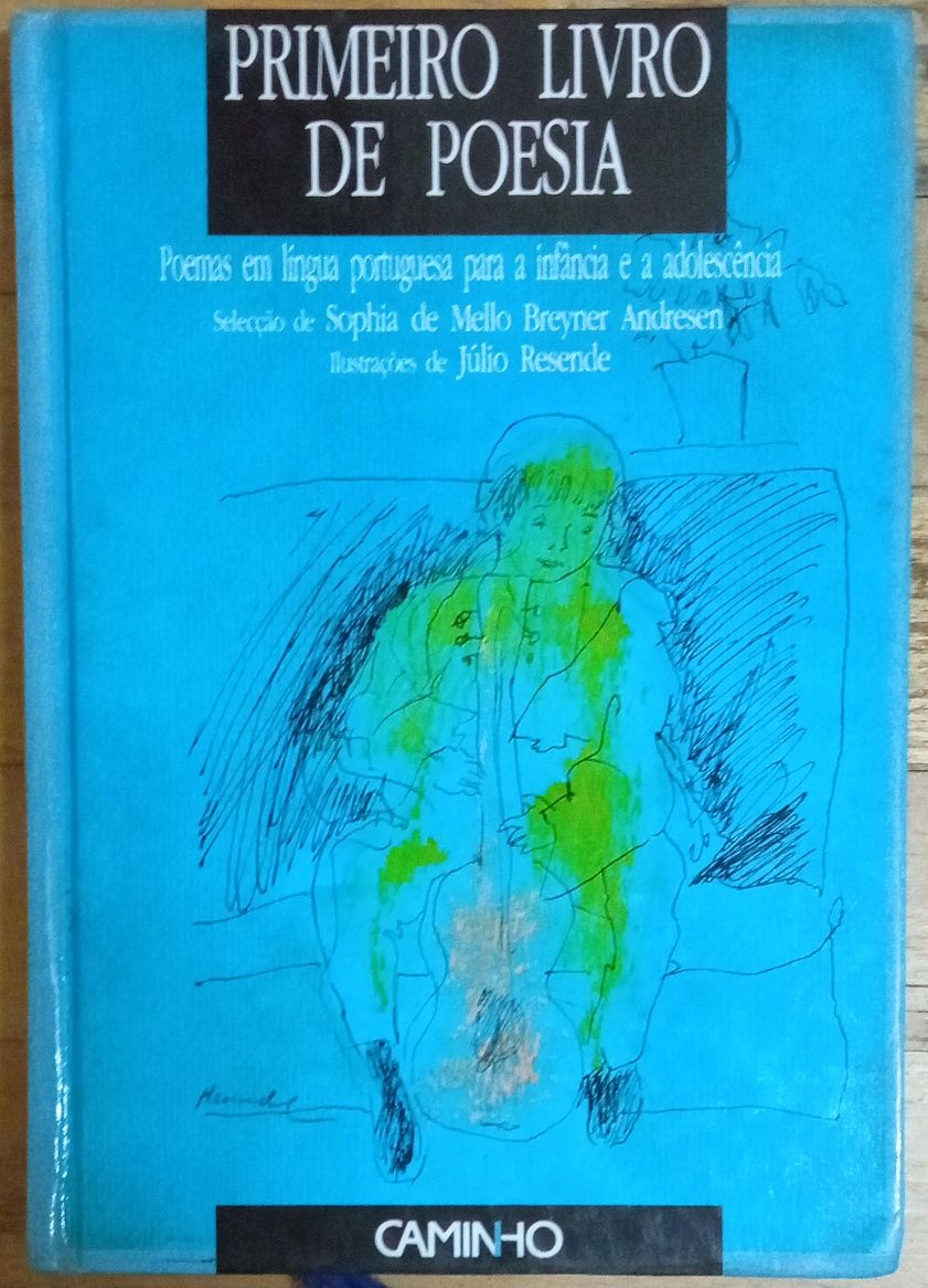 Primeiro livro de poesia