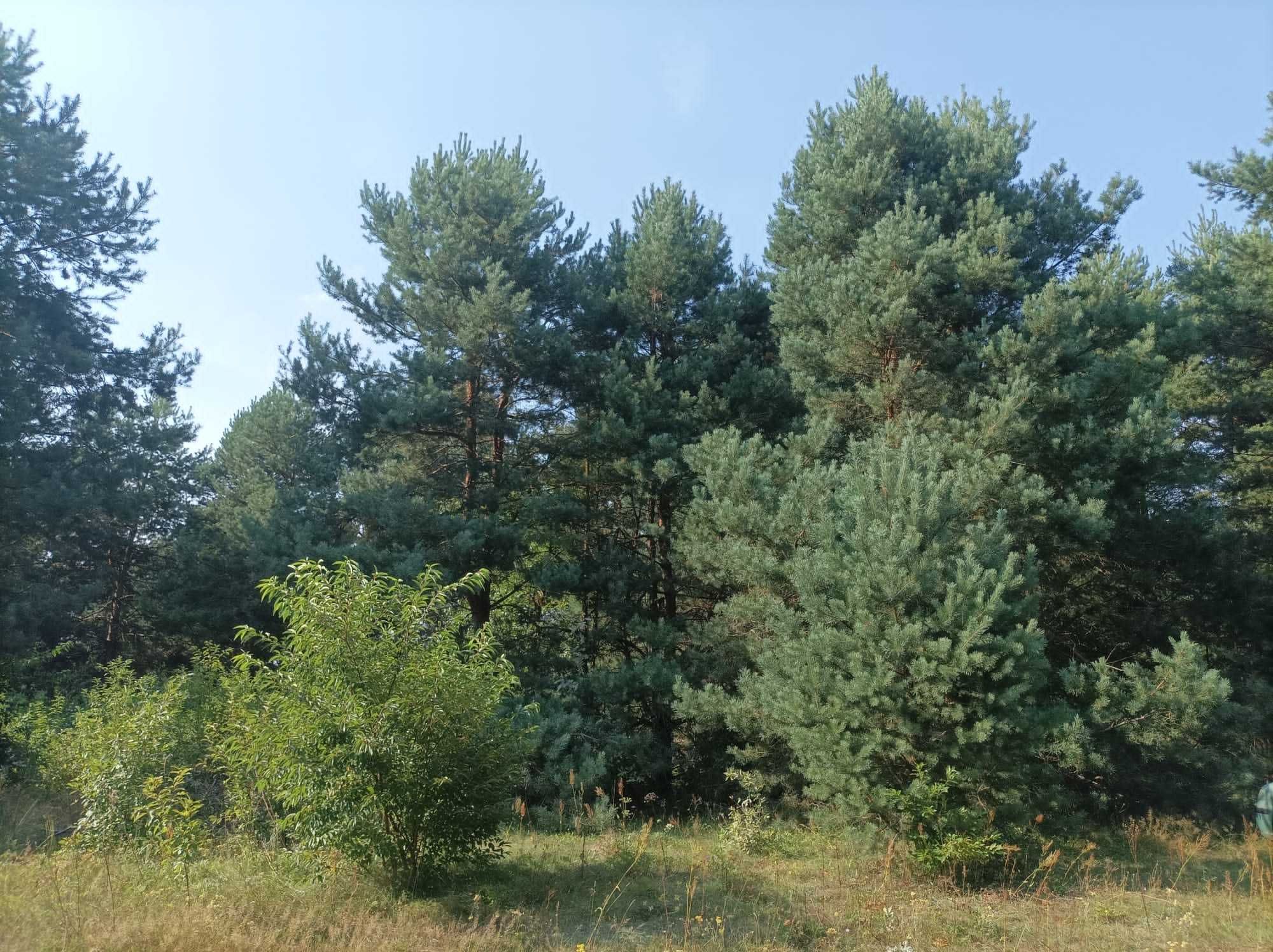 Działka budowlana