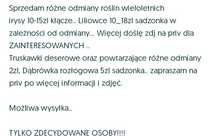 Rośliny do ogrodu