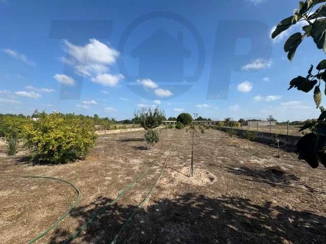 Moradia V3- Foros de Salvaterra - 
Salvaterra de Magos.