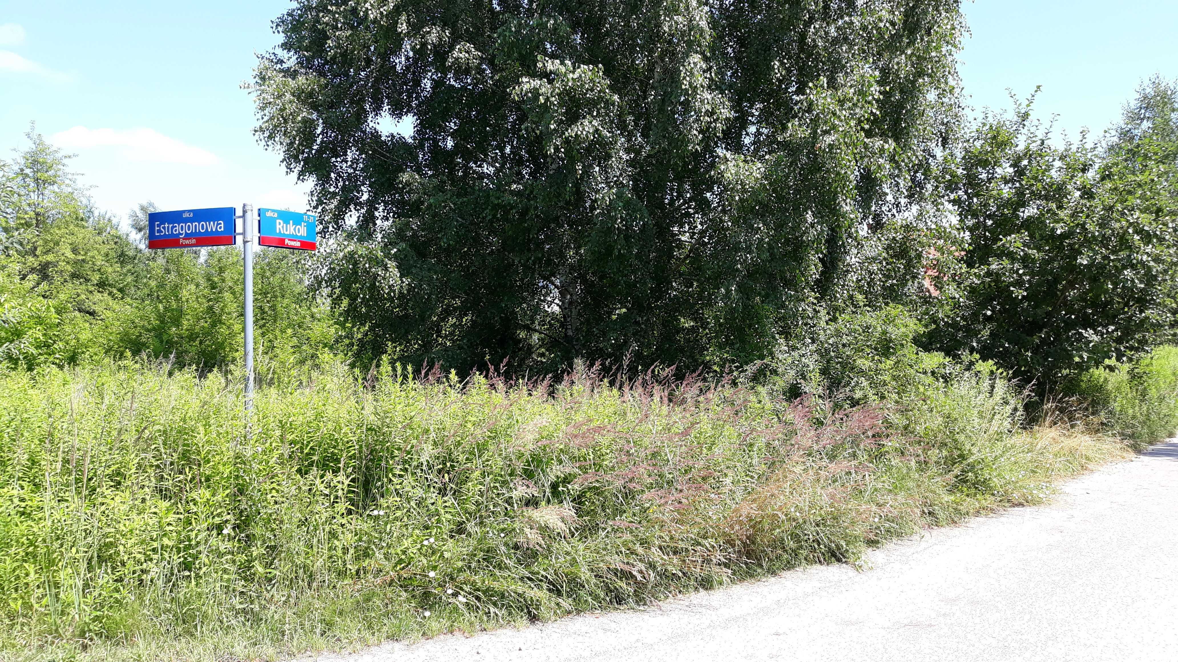 ① Wycinka drzew Wycinka drzewa Wycinanie drzew Karczowanie Rębak