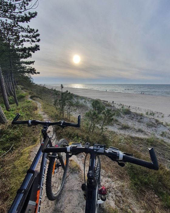 Luksusowe domki nad morzem sauna jacuzzi bilard małpi gaj