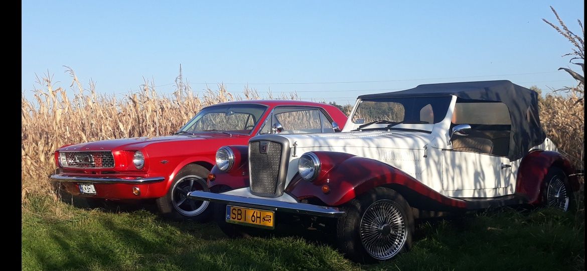 Auto do ślubu Wynajem samochodu na wesele Mustang 1966 Pojazd Retro