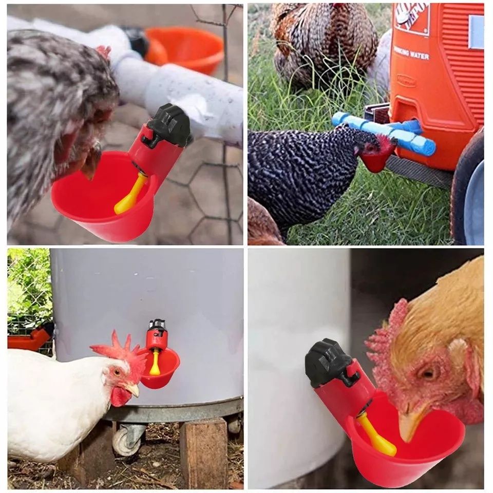 Bebedouros automáticos para aves 10 unidades