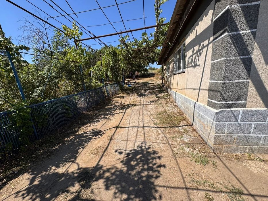 Частый дом от хозяина