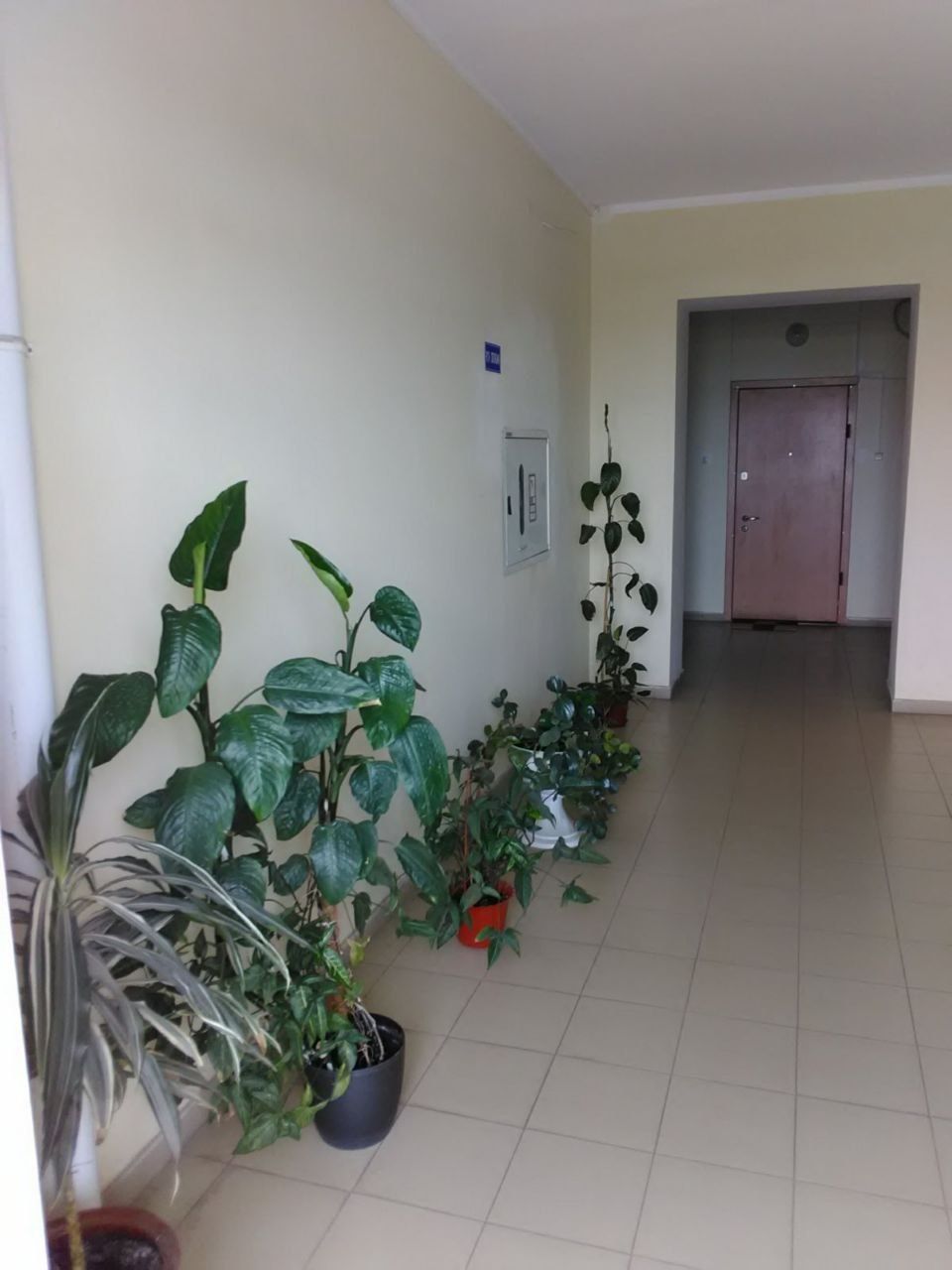 Сдам свою квартиру (номер) у моря пер. Хантадзе 4