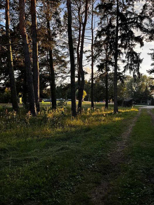 Działka na Mazurach nad Jeziorem Śniardwy w Nowych Gutach