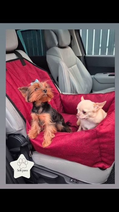 Автокрісло для собак