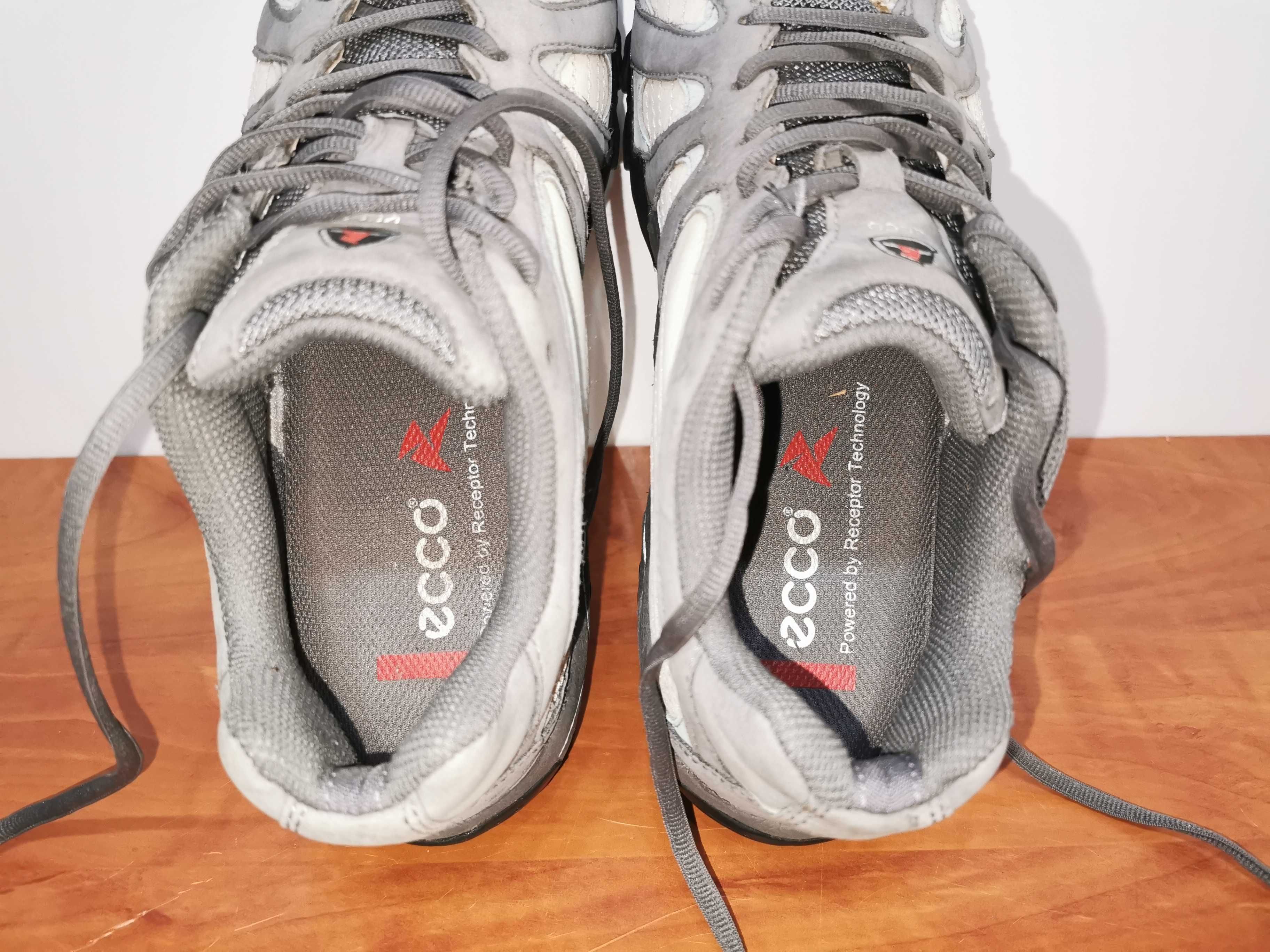 Ecco -receptor Technology - r. 39/26 cm