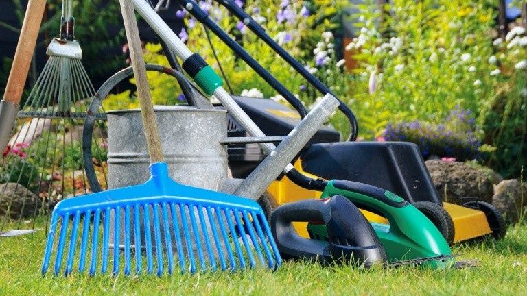 САДОВНИК. Сухой лиман. Одесса.Обработка деревьев. Консультация БЕСПЛАТ