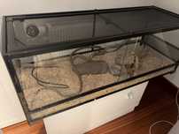 Terarium do gadów i tym podone