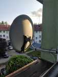 Antena Tarcza używana ale jak nowa