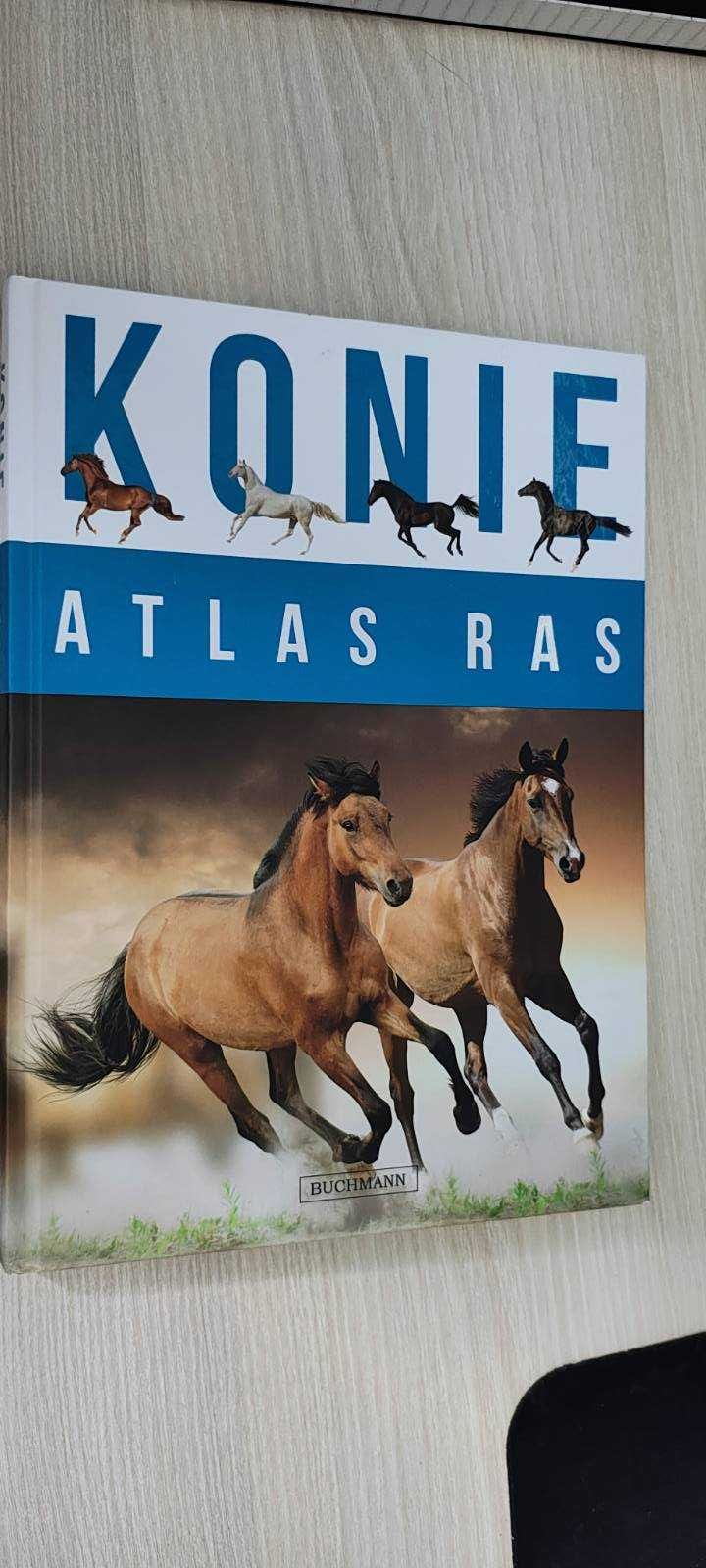 Konie Atlas Ras Buchmann