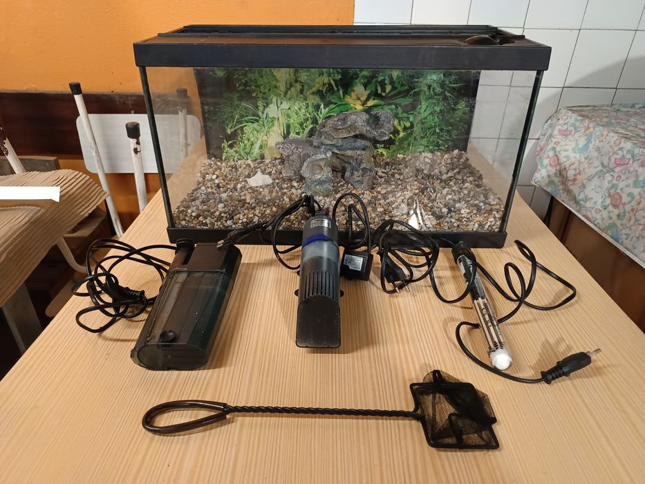 Aquário medio com acessórios