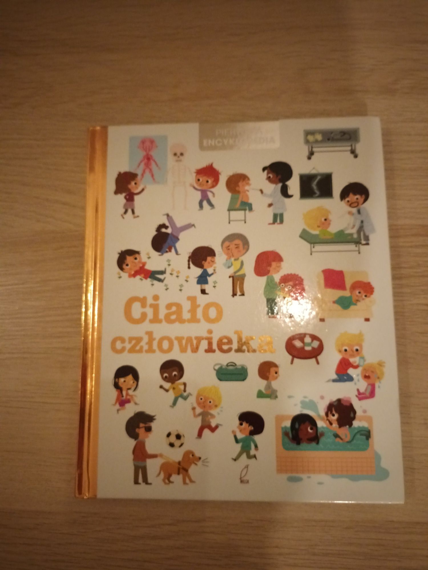 Książka Ciało człowieka dla 2-3latka