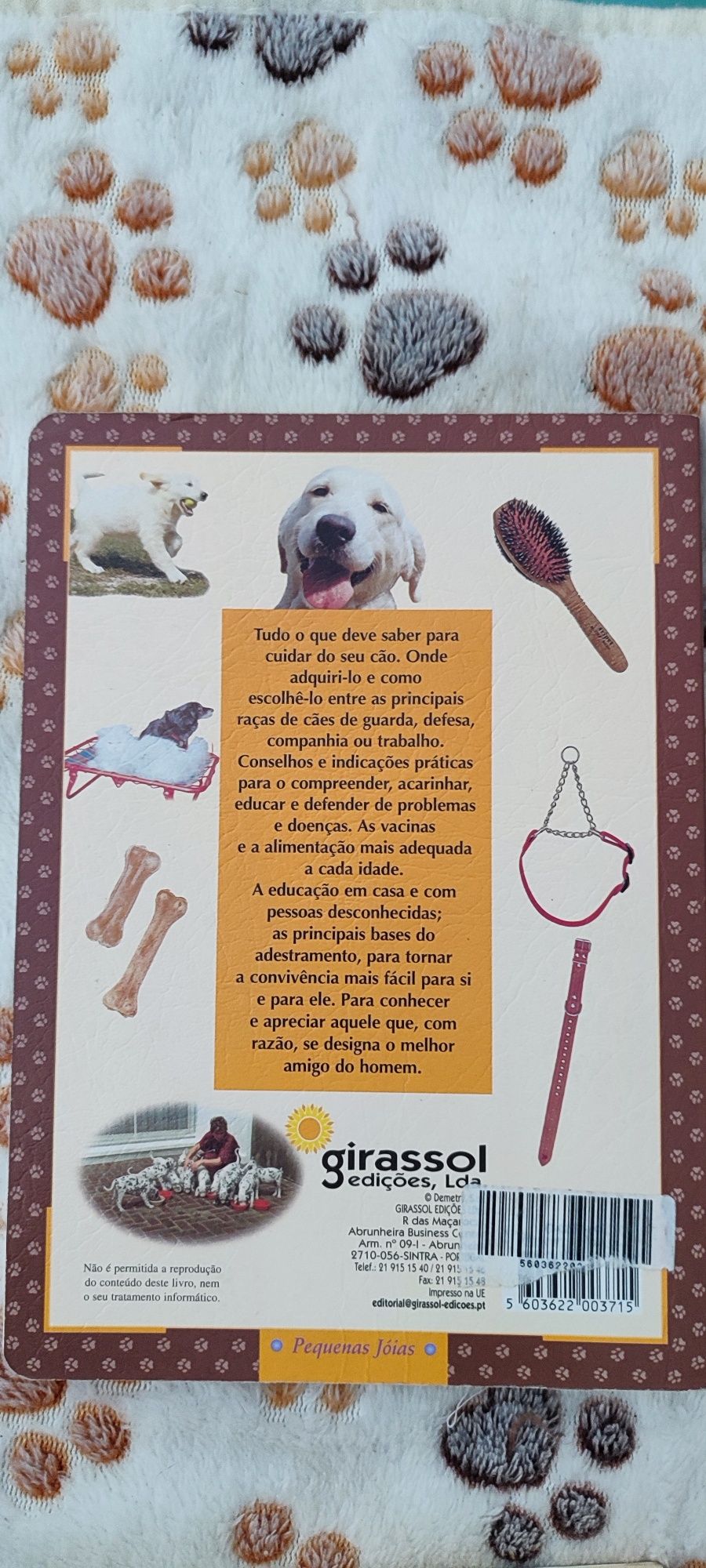 Cuidados e adestramento do cão