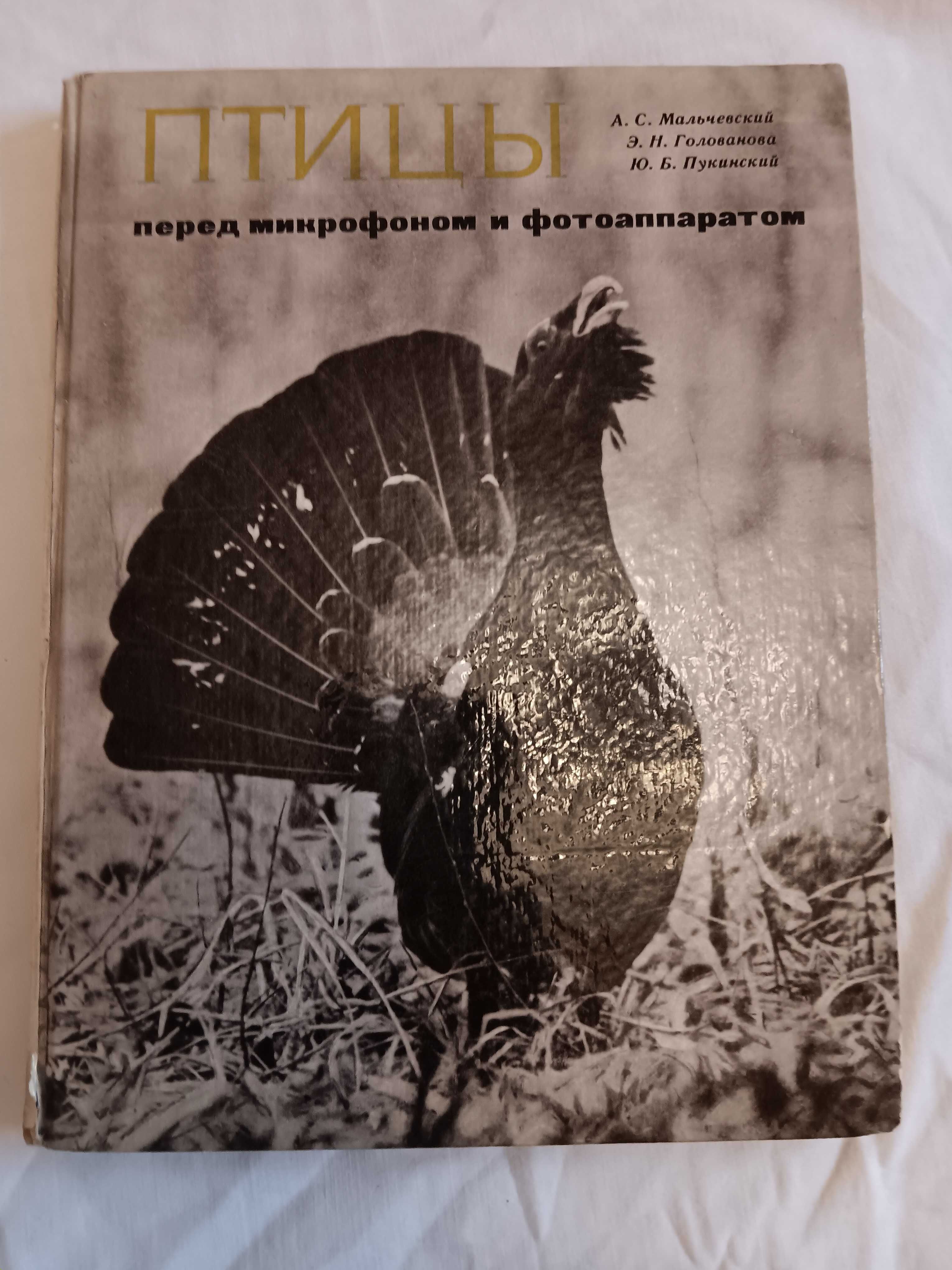 энциклопедия животных птиц планеты Красная книга Соседи по планете