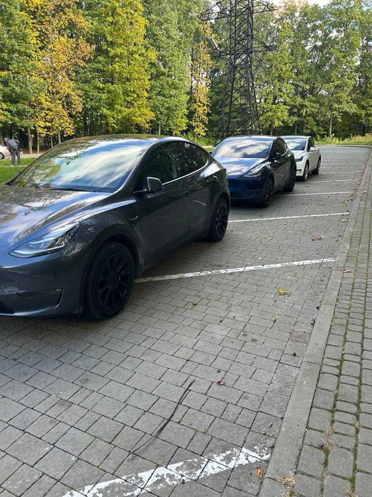 Оренда авто під виплату чи проста оренда Chevrolet Bolt/Kia Niro/Tesla