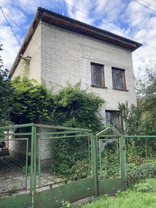 Калинка велика керниця