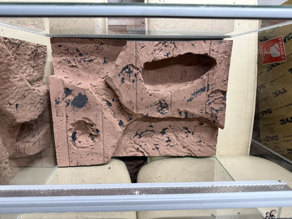 Scianka do terarium