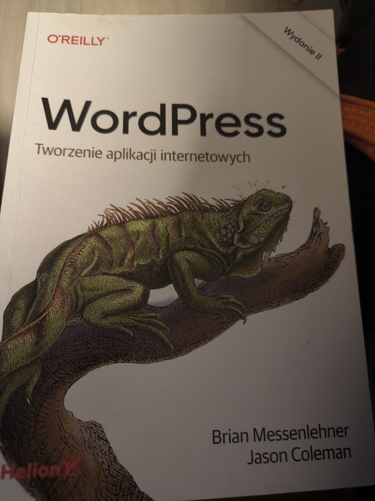 Wordpress tworzenie aplikacji internetowych