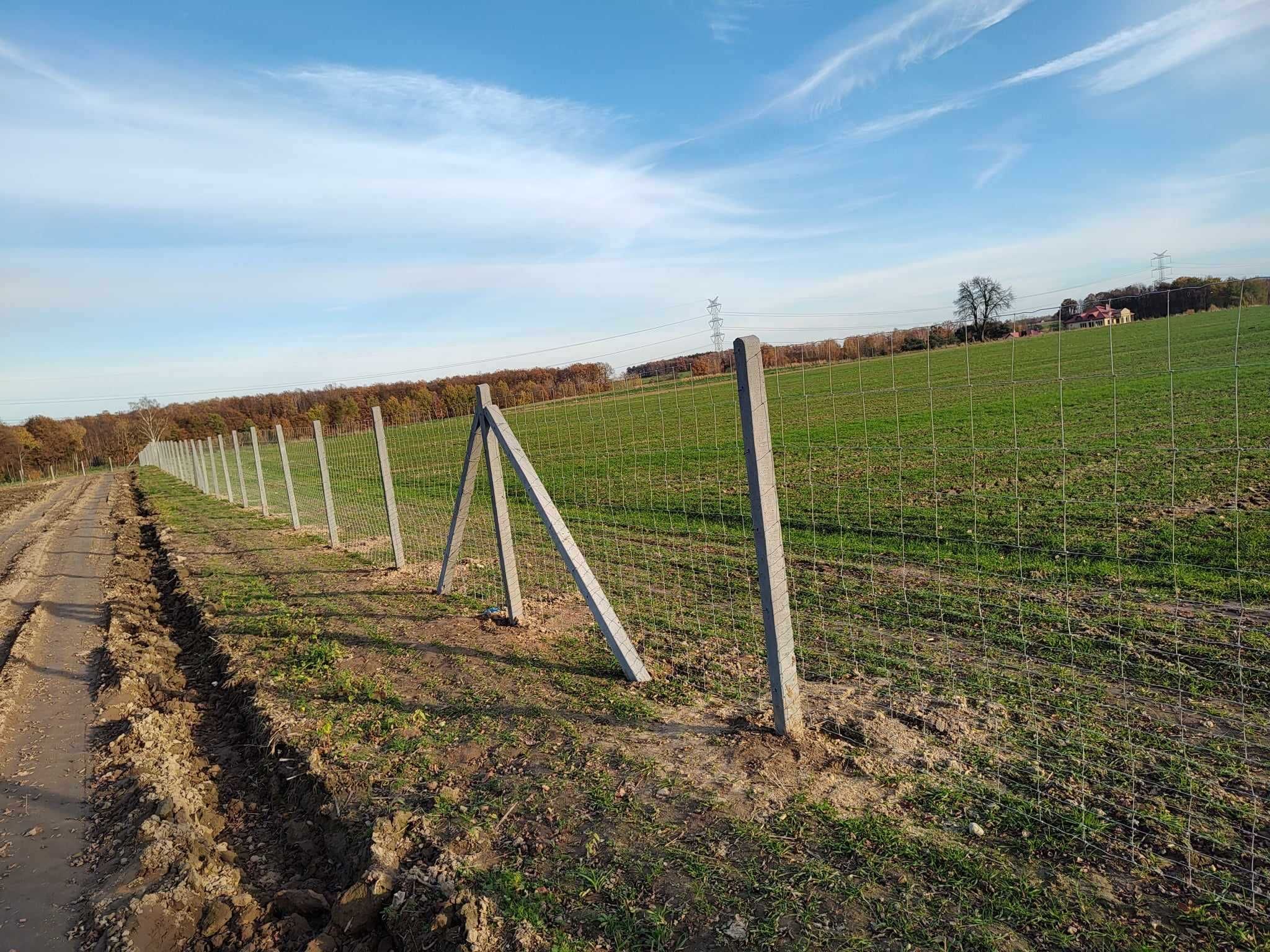 Słupki betonowe słupki ogrodzeniowe słupki do siatki