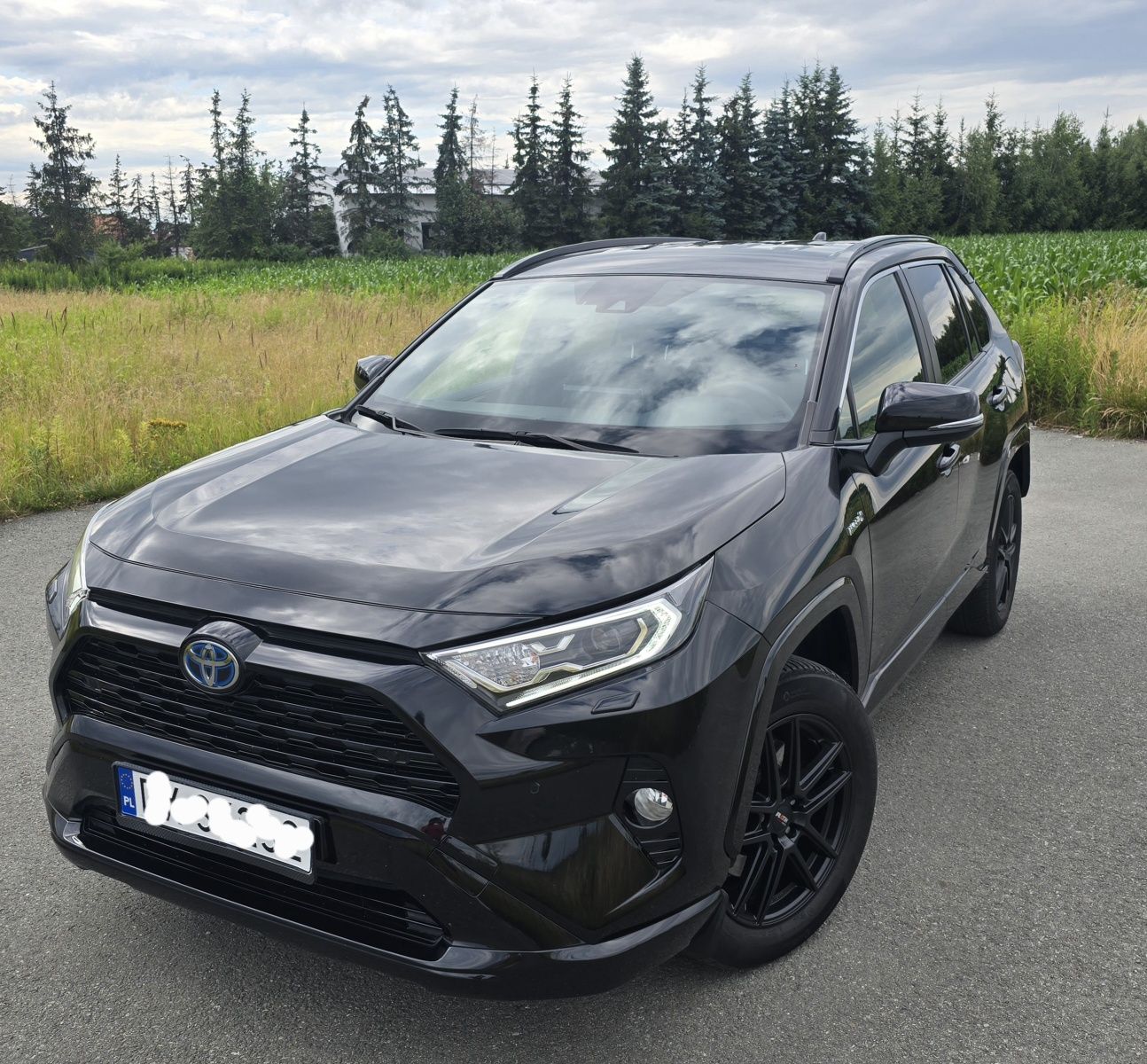 Toyota rav4 2.5 hybrid 4×4 Bogote wyposażenie