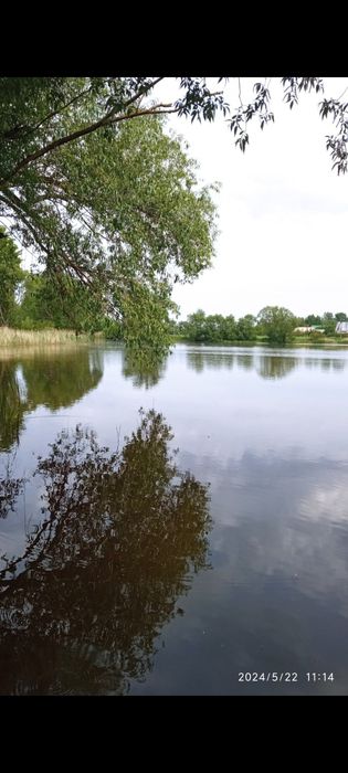 Здам пів будинка або кімнату за м.Васильків.