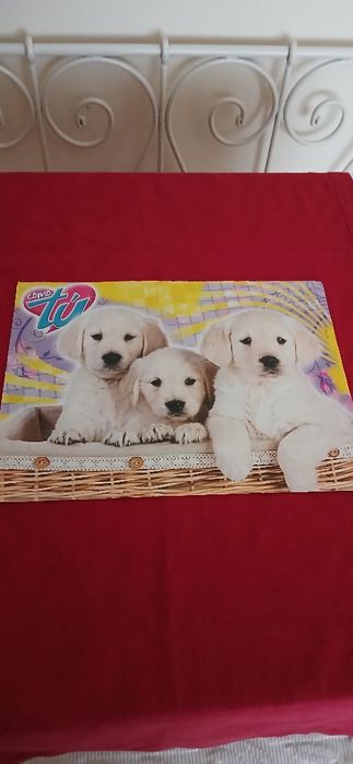 Poster La Gira, novo