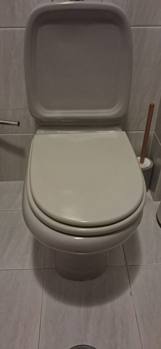 Sanita + Bidé cinzenta