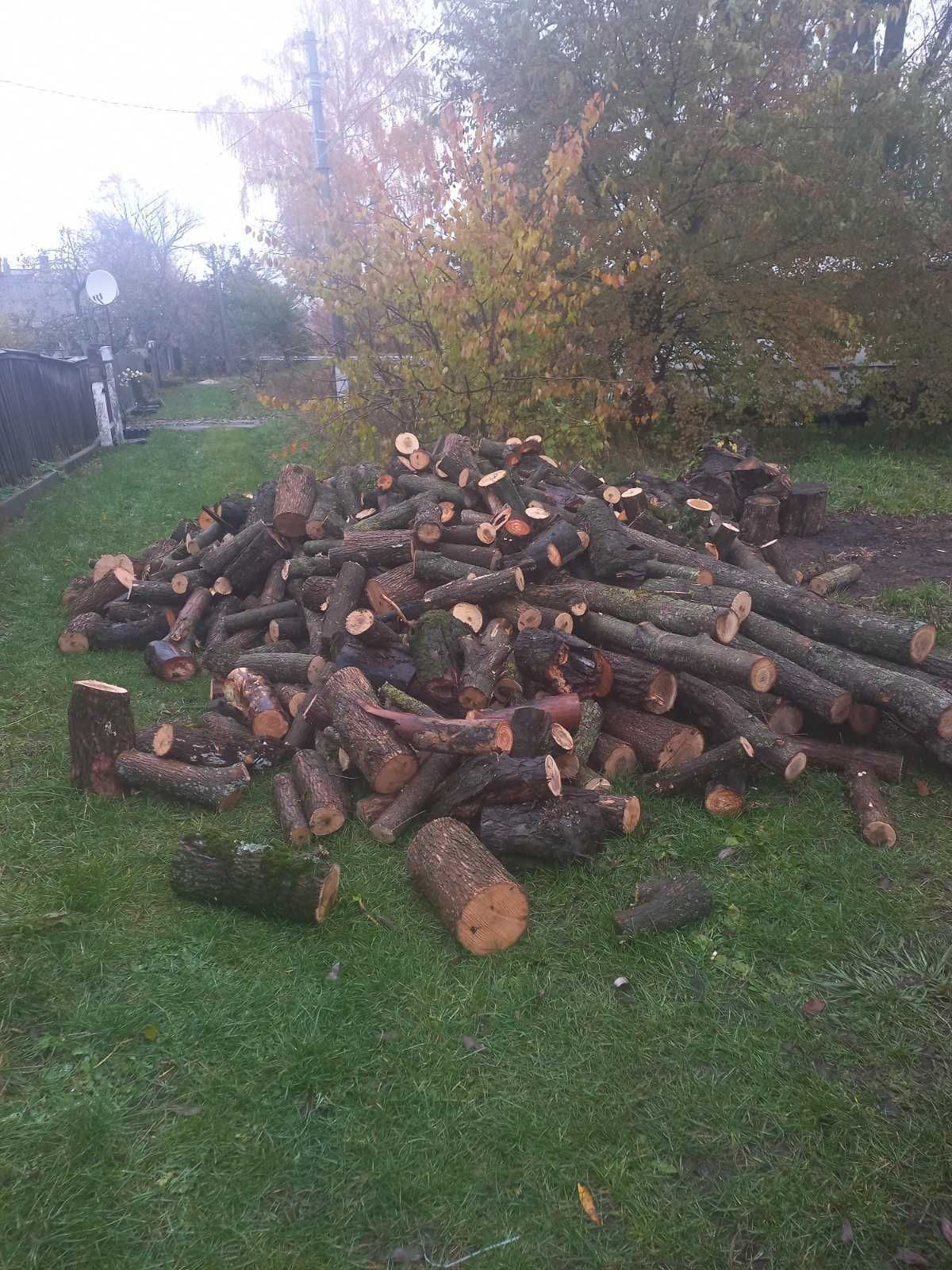 Продам дрова твердих порід дерев.