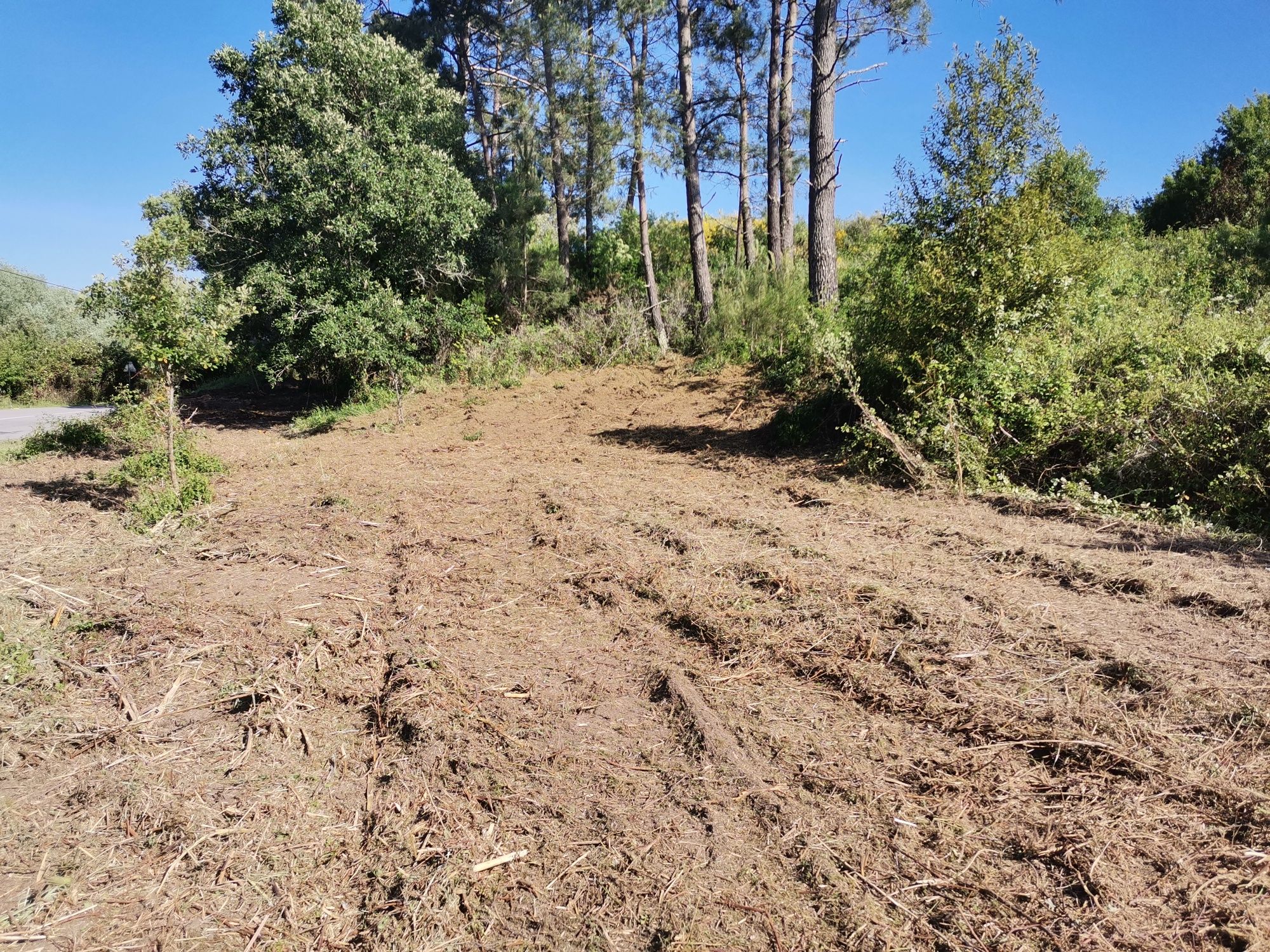Limpeza de terrenos e jardins