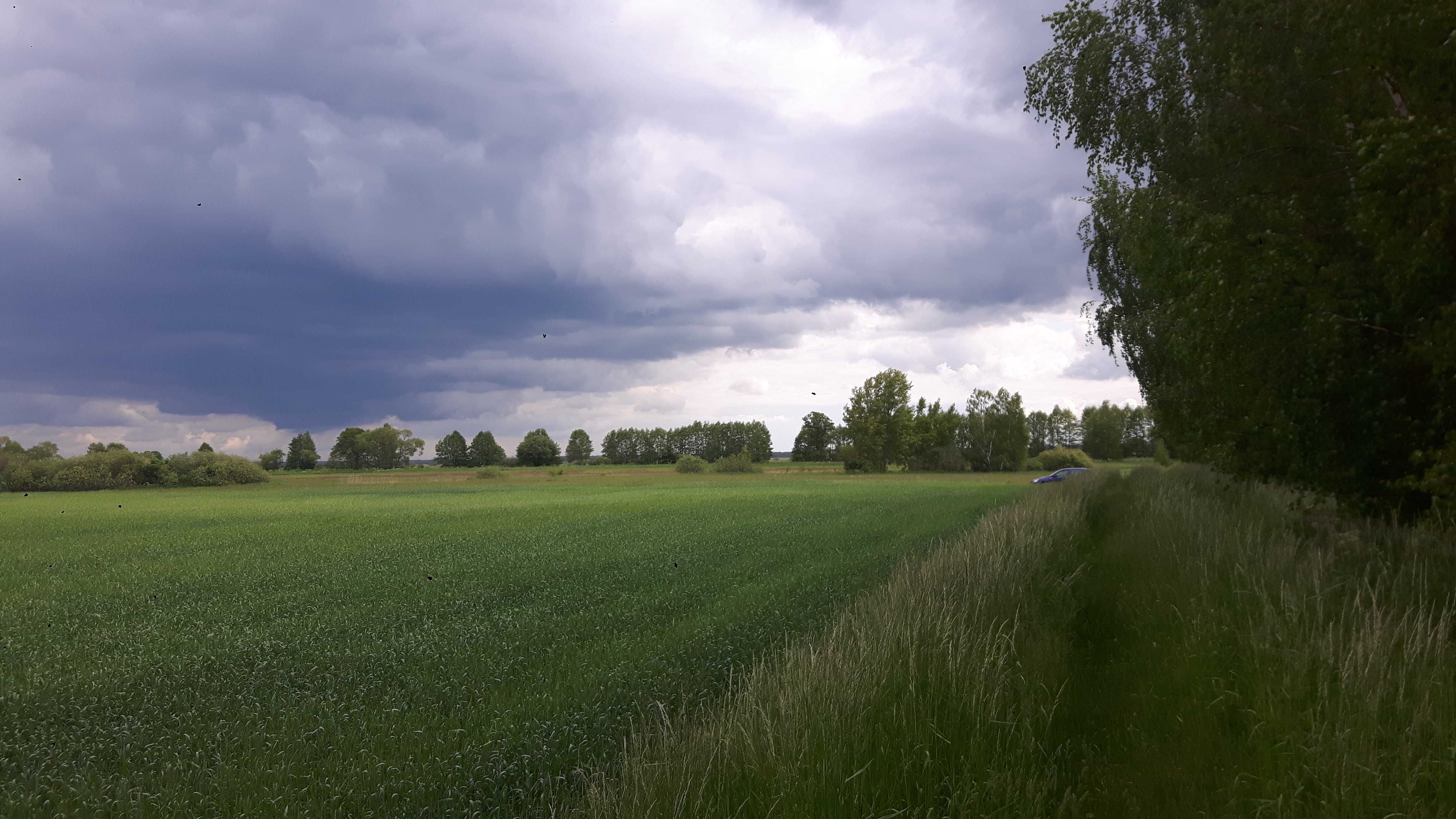 Działka budowlana Prądki Białe Błota
